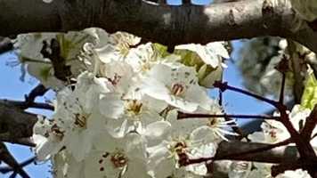 Free download COVID 19 HAND HYGIENE  PRAYER STANZA video and edit with RedcoolMedia movie maker MovieStudio video editor online and AudioStudio audio editor onlin