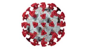 Free download Covid-19 microorganism | Motion Graphics - Videohive template video and edit with RedcoolMedia movie maker MovieStudio video editor online and AudioStudio audio editor onlin