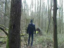 Free download : COVID-19 ; Trilogy : Behind the Scenes Featurette (2020) - Official Trailer video and edit with RedcoolMedia movie maker MovieStudio video editor online and AudioStudio audio editor onlin