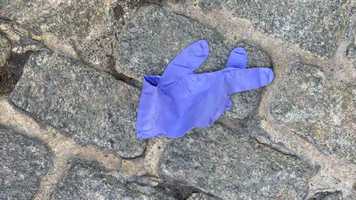 Free download CoVid Heebie-Jeebies video and edit with RedcoolMedia movie maker MovieStudio video editor online and AudioStudio audio editor onlin