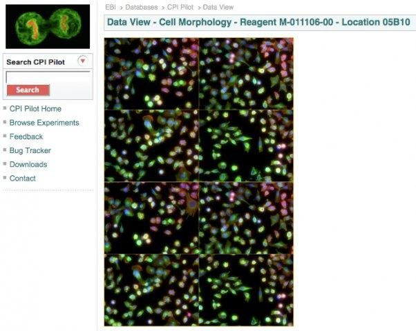 Download web tool or web app CPI Pilot Project