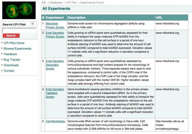 Download web tool or web app CPI Pilot Project
