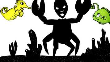 Free download Crab Haiku (all copyrights obtained) video and edit with RedcoolMedia movie maker MovieStudio video editor online and AudioStudio audio editor onlin