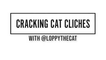 Free download Cracking Cat Cliches w/ Loppy The Cat video and edit with RedcoolMedia movie maker MovieStudio video editor online and AudioStudio audio editor onlin