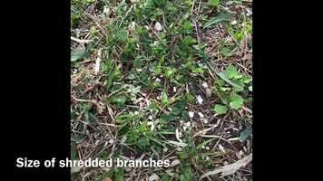 Free download Craftsman chipper/shredder video and edit with RedcoolMedia movie maker MovieStudio video editor online and AudioStudio audio editor onlin