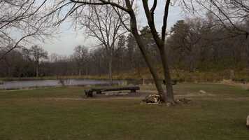 Free download Crash - Cecilia Ehrlichman video and edit with RedcoolMedia movie maker MovieStudio video editor online and AudioStudio audio editor onlin