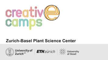 Free download Creative_Camps video and edit with RedcoolMedia movie maker MovieStudio video editor online and AudioStudio audio editor onlin