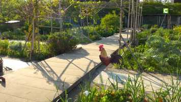 Free download creature_animation_demo_reel02020 video and edit with RedcoolMedia movie maker MovieStudio video editor online and AudioStudio audio editor onlin