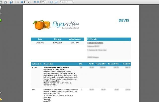 Download web tool or web app CRM Elyazalée