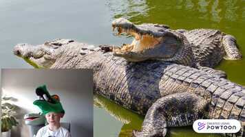 Free download Crocodile Facts video and edit with RedcoolMedia movie maker MovieStudio video editor online and AudioStudio audio editor onlin