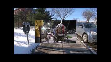 Free download Crocodile in Water, Tiger on Land (3 min) video and edit with RedcoolMedia movie maker MovieStudio video editor online and AudioStudio audio editor onlin