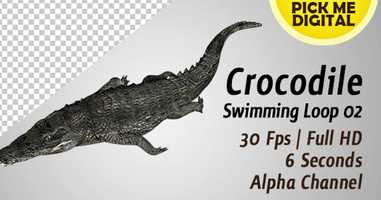 Free download Crocodile Swimming Loop 02 | Motion Graphics - Envato elements video and edit with RedcoolMedia movie maker MovieStudio video editor online and AudioStudio audio editor onlin