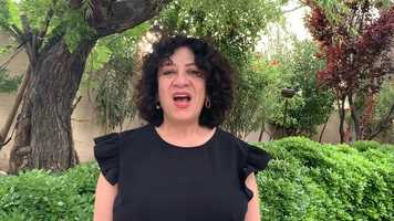 Free download Crystal Pantelas-Hemmers Positively Arts Journey video and edit with RedcoolMedia movie maker MovieStudio video editor online and AudioStudio audio editor onlin