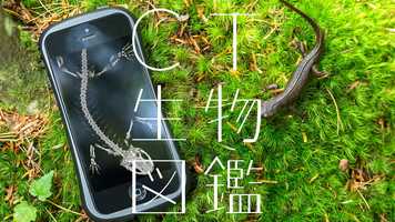 Free download CT生物図鑑コンセプトムービー Concept movie video and edit with RedcoolMedia movie maker MovieStudio video editor online and AudioStudio audio editor onlin