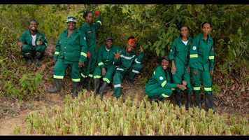 Free download CTFF 2020 90-SEC COMPILATION TRAILER video and edit with RedcoolMedia movie maker MovieStudio video editor online and AudioStudio audio editor onlin