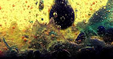 Free download CTFOs Breakthrough Science video and edit with RedcoolMedia movie maker MovieStudio video editor online and AudioStudio audio editor onlin