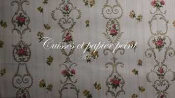 Free download Cuisses et papier peint (Acte 2) video and edit with RedcoolMedia movie maker MovieStudio video editor online and AudioStudio audio editor onlin