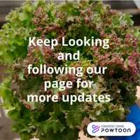 Free download Cultivogreens video and edit with RedcoolMedia movie maker MovieStudio video editor online and AudioStudio audio editor onlin