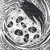 Free download Curious Creatures video and edit with RedcoolMedia movie maker MovieStudio video editor online and AudioStudio audio editor onlin