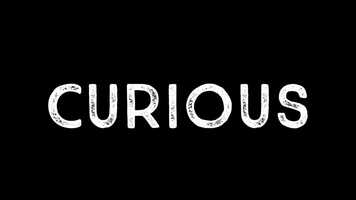 Free download CuriousTrailerReel2019 video and edit with RedcoolMedia movie maker MovieStudio video editor online and AudioStudio audio editor onlin