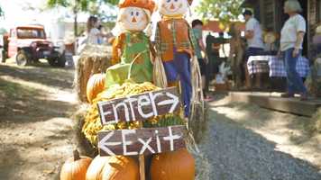 Free download Curtin Farms Fest 2019 video and edit with RedcoolMedia movie maker MovieStudio video editor online and AudioStudio audio editor onlin