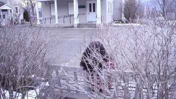 Free download Cut in Action 2 video and edit with RedcoolMedia movie maker MovieStudio video editor online and AudioStudio audio editor onlin