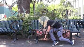 Free download Cyborg Sandwich video and edit with RedcoolMedia movie maker MovieStudio video editor online and AudioStudio audio editor onlin