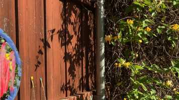 Free download CYCLES | Taylor Knighton video and edit with RedcoolMedia movie maker MovieStudio video editor online and AudioStudio audio editor onlin