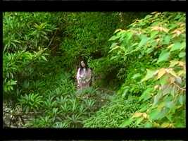 Free download 趙詠華 Cyndi Chao【最浪漫的事 The most romantic thing】Official Music Video video and edit with RedcoolMedia movie maker MovieStudio video editor online and AudioStudio audio editor onlin