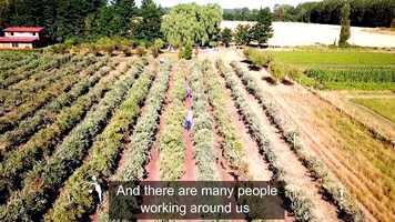 Free download DAMASO V7(MUSIC 2) video and edit with RedcoolMedia movie maker MovieStudio video editor online and AudioStudio audio editor onlin