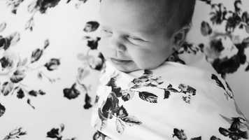 Free download Dammeyer Richards Family Movie BW video and edit with RedcoolMedia movie maker MovieStudio video editor online and AudioStudio audio editor onlin