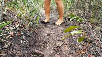 Free download DANÇANDO COM NATUREZA film video and edit with RedcoolMedia movie maker MovieStudio video editor online and AudioStudio audio editor onlin