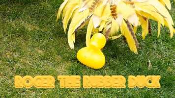 Free download Dance DEMO: Little Bird - Billie Blouse video and edit with RedcoolMedia movie maker MovieStudio video editor online and AudioStudio audio editor onlin