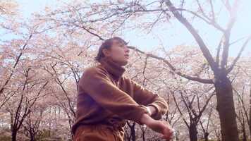 Free download Dance fragment Jori - mini docu series Bronson Wilson video and edit with RedcoolMedia movie maker MovieStudio video editor online and AudioStudio audio editor onlin