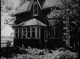 Free download Dandelions - Trailer video and edit with RedcoolMedia movie maker MovieStudio video editor online and AudioStudio audio editor onlin