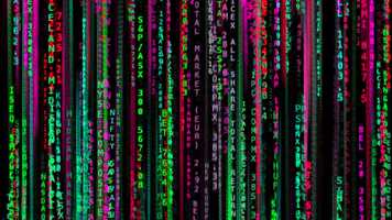 Free download Daniel Canogar, Xylem, 2017 video and edit with RedcoolMedia movie maker MovieStudio video editor online and AudioStudio audio editor onlin