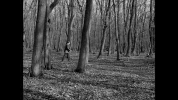 Free download Dante video and edit with RedcoolMedia movie maker MovieStudio video editor online and AudioStudio audio editor onlin