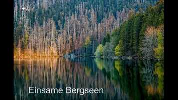 Free download Das wilde Herz Europas video and edit with RedcoolMedia movie maker MovieStudio video editor online and AudioStudio audio editor onlin