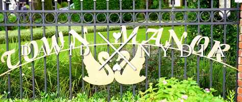 Free download DavidNydia_WeddingFilm.mp4 video and edit with RedcoolMedia movie maker MovieStudio video editor online and AudioStudio audio editor onlin