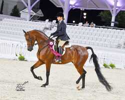 Free download DA Xavier video and edit with RedcoolMedia movie maker MovieStudio video editor online and AudioStudio audio editor onlin