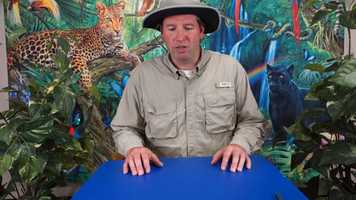 Free download Day 2- Science Project video and edit with RedcoolMedia movie maker MovieStudio video editor online and AudioStudio audio editor onlin