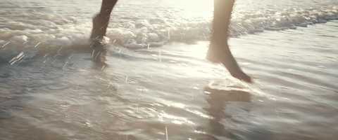 Free download Daybreak (4K) video and edit with RedcoolMedia movie maker MovieStudio video editor online and AudioStudio audio editor onlin