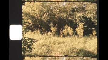 Free download Daydream Channel/Blueberry Song video and edit with RedcoolMedia movie maker MovieStudio video editor online and AudioStudio audio editor onlin