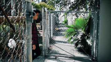 Free download DC 2020 SP Film Screening video and edit with RedcoolMedia movie maker MovieStudio video editor online and AudioStudio audio editor onlin