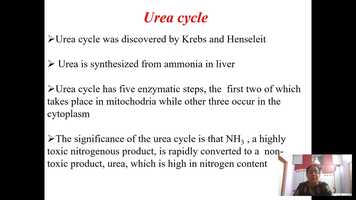 Free download DCE-Digital learning system B.Sc VI SEMESTER,CHEMISTRY,PAPER-8,SESSION 36 METABOLISM- UREA CYCLE.mp4 video and edit with RedcoolMedia movie maker MovieStudio video editor online and AudioStudio audio editor onlin