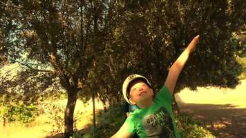 Free download DCFF5 | Official Selection Trailer video and edit with RedcoolMedia movie maker MovieStudio video editor online and AudioStudio audio editor onlin