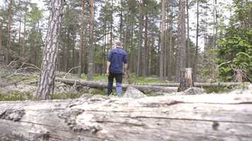 Free download Dda trd film 1 V1 210608 video and edit with RedcoolMedia movie maker MovieStudio video editor online and AudioStudio audio editor onlin