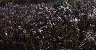 Free download Dean Demo Reel Draft 2.mp4 video and edit with RedcoolMedia movie maker MovieStudio video editor online and AudioStudio audio editor onlin