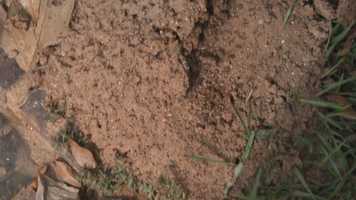 Free download Death Time Professional video and edit with RedcoolMedia movie maker MovieStudio video editor online and AudioStudio audio editor onlin