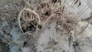 Free download December near sunset at the frozen moor area of lake Nklevann in Oslo Norway video and edit with RedcoolMedia movie maker MovieStudio video editor online and AudioStudio audio editor onlin